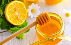 Цитрусовый мед Цитрусовый мед применение в кулинарии
